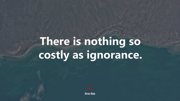 There is nothing so costly as ignorance. | Horace Mann quote