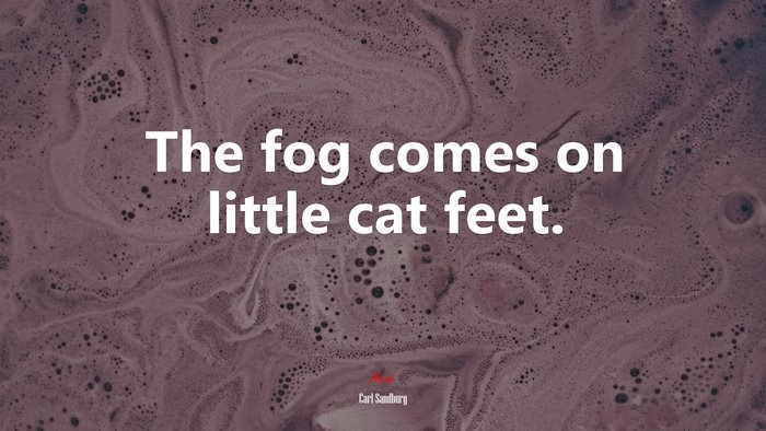 The fog comes on little cat feet. | Carl Sandburg quote