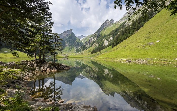 Mountain lake with reflections and trees