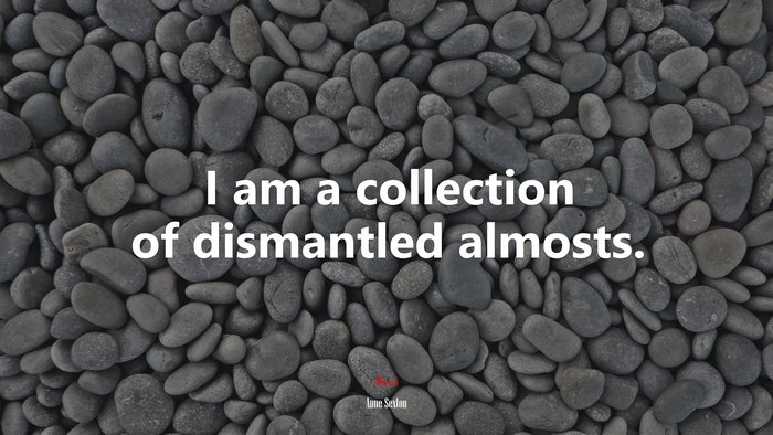 I am a collection of dismantled almosts. | Anne Sexton quote