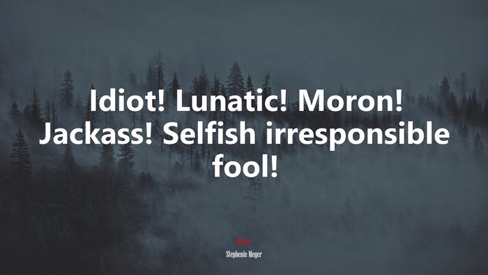 Idiot! Lunatic! Moron! Jackass! Selfish irresponsible fool! | Stephenie Meyer quote