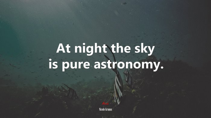 At night the sky is pure astronomy. | Nicole Krauss quote