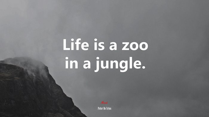 Life is a zoo in a jungle. | Peter De Vries quote