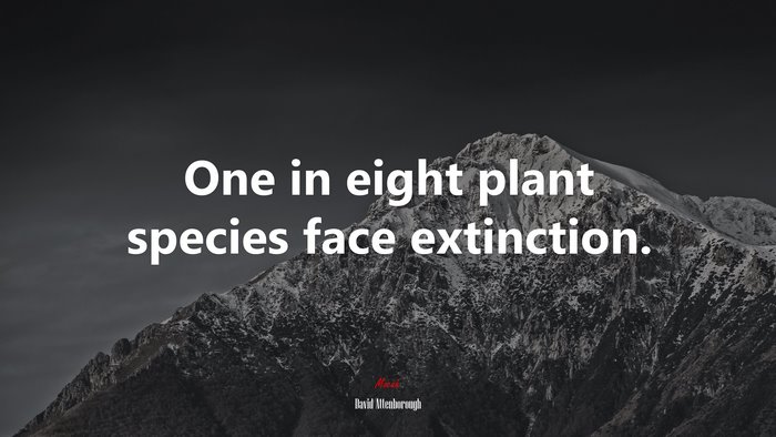 One in eight plant species face extinction. | David Attenborough quote