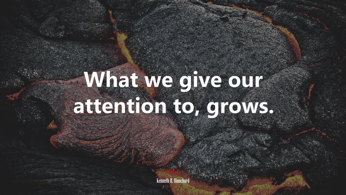 What we give our attention to, grows. | Kenneth H. Blanchard quote