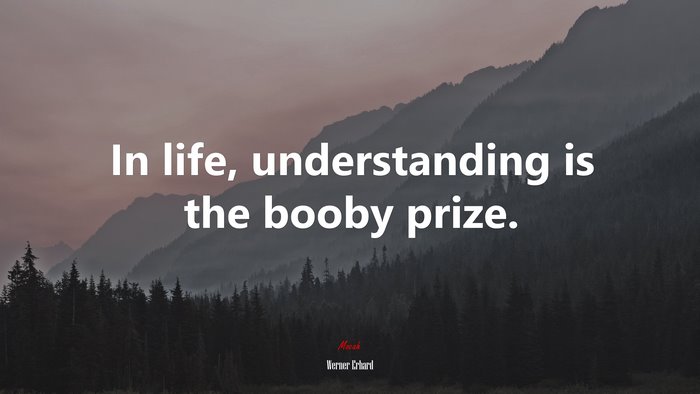 In life, understanding is the booby prize. | Werner Erhard quote
