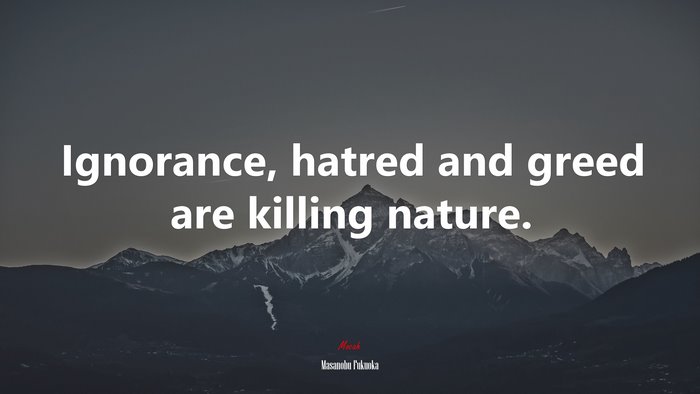 Ignorance, hatred and greed are killing nature. | Masanobu Fukuoka quote