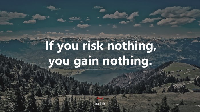 If you risk nothing, you gain nothing. | Bear Grylls quote
