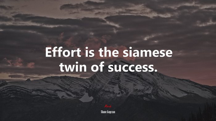 Effort is the siamese twin of success. | Shane Koyczan quote