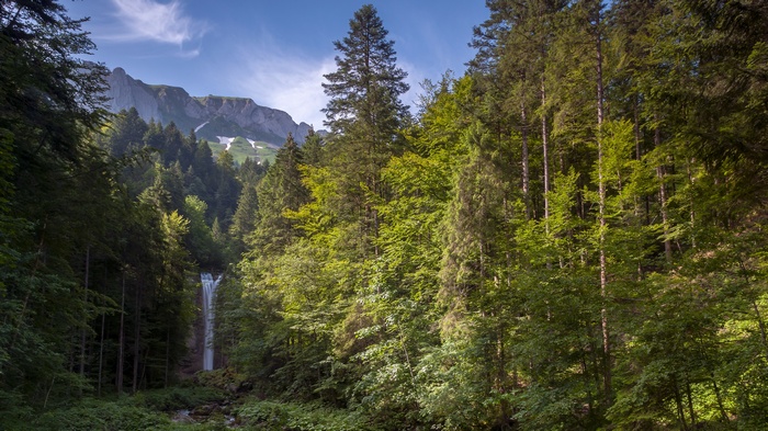 Waterfall in a dense forest with mountains in the background