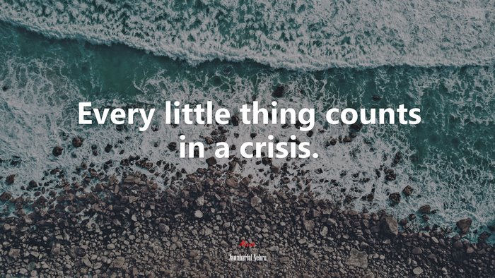 Every little thing counts in a crisis. | Jawaharlal Nehru quote