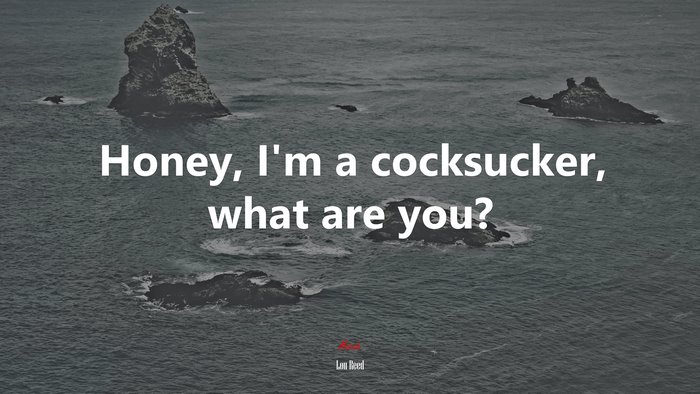 Honey, I’m a cocksucker, what are you? | Lou Reed quote