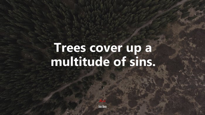 Trees cover up a multitude of sins. | Bob Ross quote