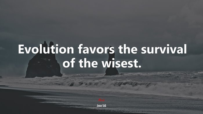 Evolution favors the survival of the wisest. | Jonas Salk quote