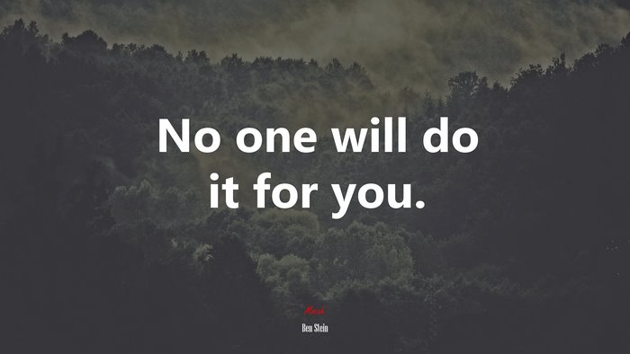 No one will do it for you. | Ben Stein quote