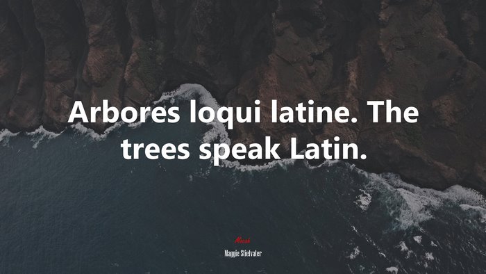 Arbores loqui latine. The trees speak Latin. | Maggie Stiefvater quote
