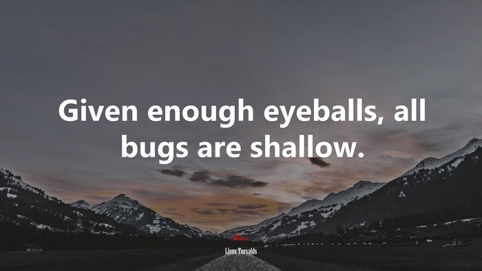 Given enough eyeballs, all bugs are shallow. | Linus Torvalds quote