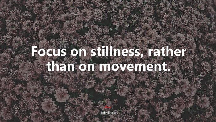 Focus on stillness, rather than on movement. | Morihei Ueshiba quote
