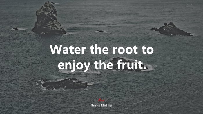 Water the root to enjoy the fruit. | Maharishi Mahesh Yogi quote