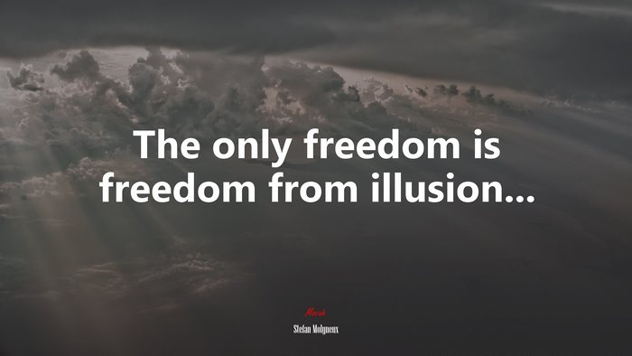 The only freedom is freedom from illusion... | Stefan Molyneux quote