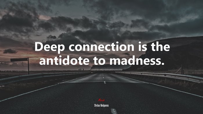 Deep connection is the antidote to madness. | Stefan Molyneux quote