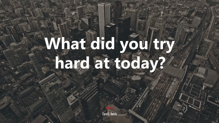 What did you try hard at today? | Carol S. Dweck quote