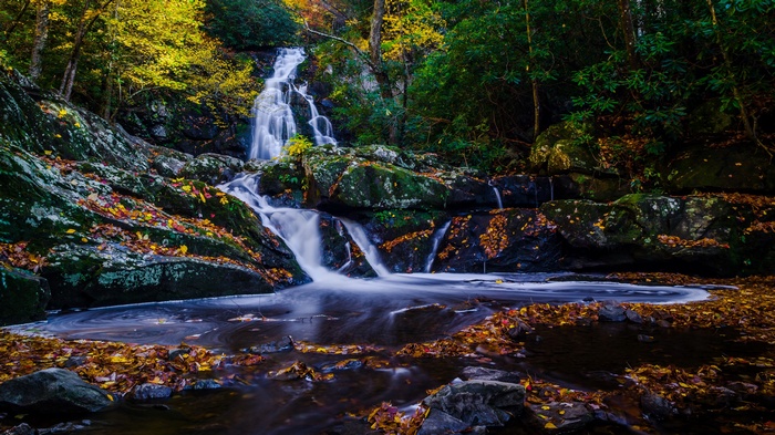 Waterfall cascading over mossy rocks in autumn forest