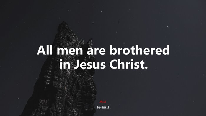 All men are brothered in Jesus Christ. | Pope Pius XII quote