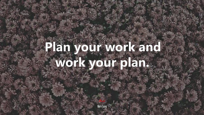 Plan your work and work your plan. | Marv Levy quote