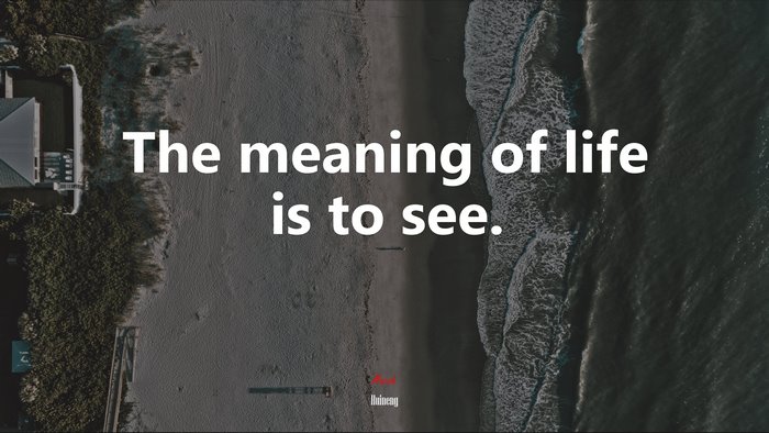 The meaning of life is to see. | Huineng quote