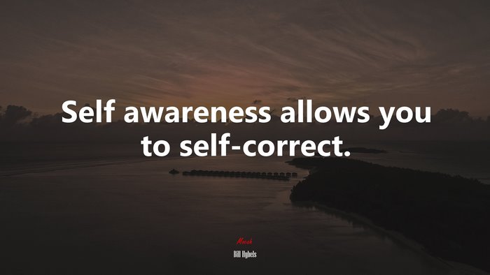 Self awareness allows you to self-correct. | Bill Hybels quote