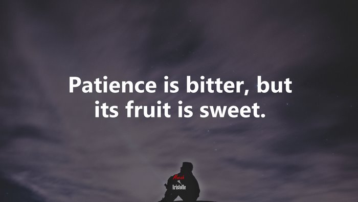 Patience is bitter, but its fruit is sweet. | Aristotle quote