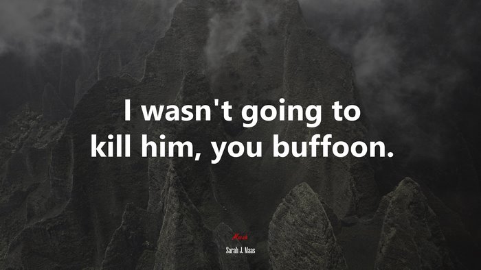I wasn’t going to kill him, you buffoon. | Sarah J. Maas quote