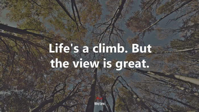 Life’s a climb. But the view is great. | Miley Cyrus quote