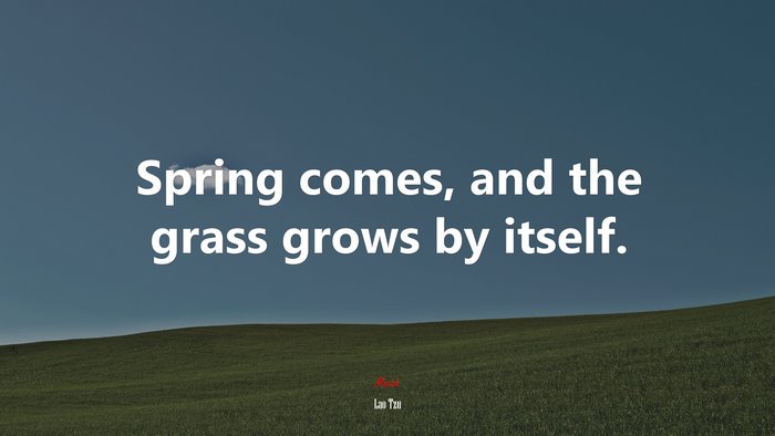 Spring comes, and the grass grows by itself. | Lao Tzu quote
