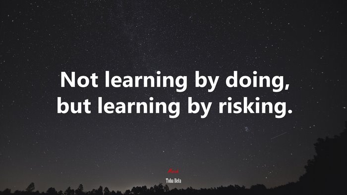 Not learning by doing, but learning by risking. | Toba Beta quote