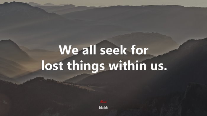 We all seek for lost things within us. | Toba Beta quote