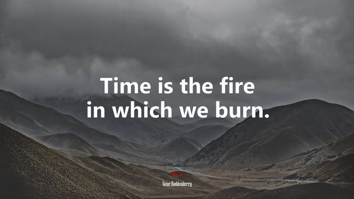 Time is the fire in which we burn. | Gene Roddenberry quote