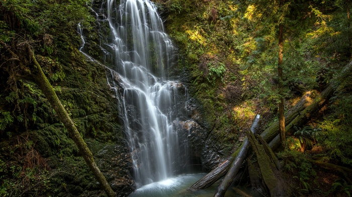 Waterfall cascading through a mossy forest with fallen logs