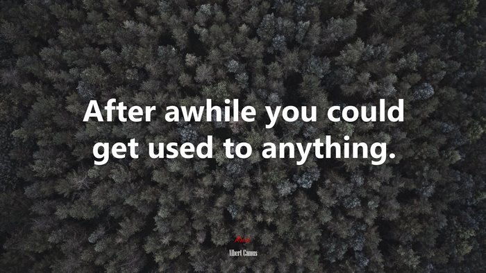 After awhile you could get used to anything. | Albert Camus quote