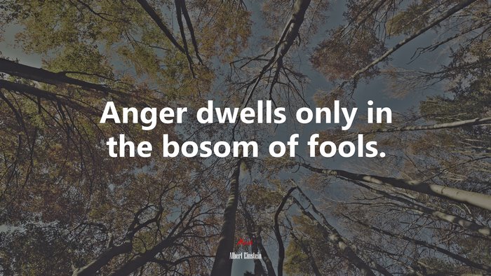 Anger dwells only in the bosom of fools. | Albert Einstein quote