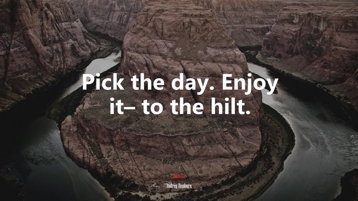 Pick the day. Enjoy it– to the hilt. | Audrey Hepburn quote