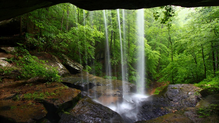 Waterfall cascading into a forest pool