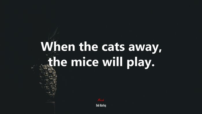 When the cats away, the mice will play. | Bob Marley quote