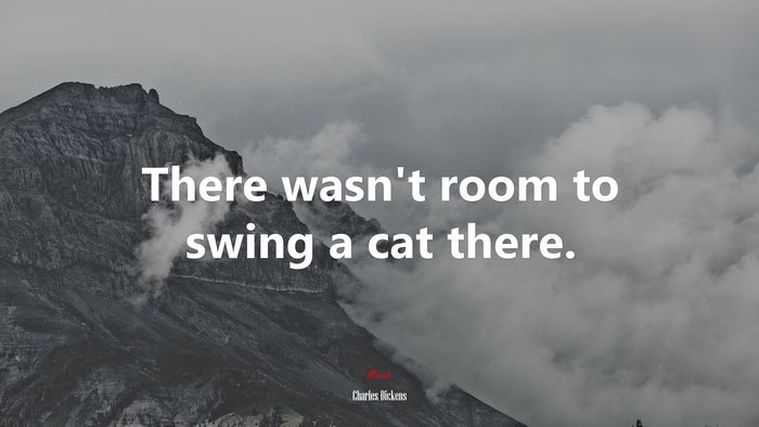 There wasn’t room to swing a cat there. | Charles Dickens quote