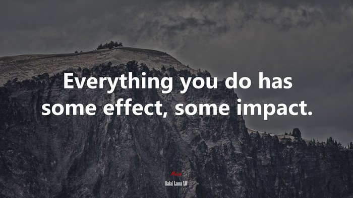Everything you do has some effect, some impact. | Dalai Lama XIV quote