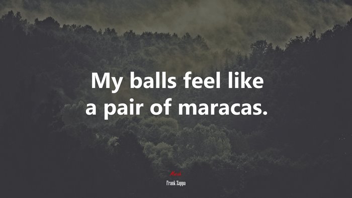 My balls feel like a pair of maracas. | Frank Zappa quote