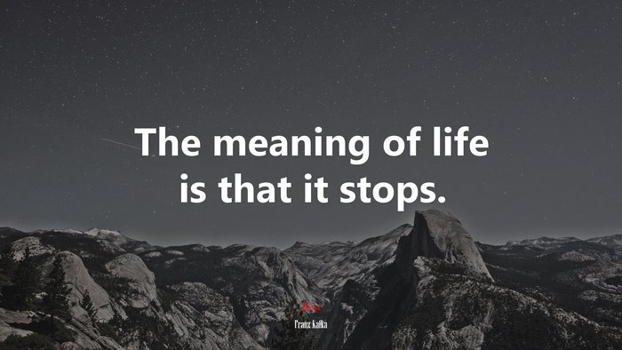 The meaning of life is that it stops. | Franz Kafka quote