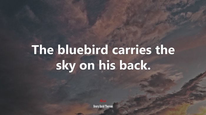 The bluebird carries the sky on his back. | Henry David Thoreau quote