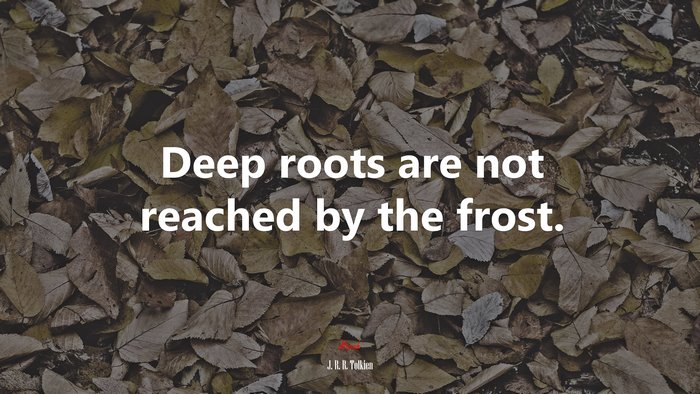 Deep roots are not reached by the frost. | J. R. R. Tolkien quote